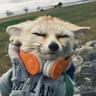 sleepyfox