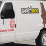 BangBus