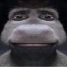 Slyad