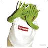 Kermit