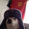 Tomsn_CZE