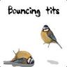 Bouncing Tits