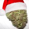 a christmas nug
