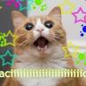 Doped_Cat