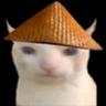 Mortebo鲍勃