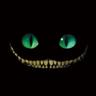 swampcat