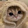 Кот на аве это я!