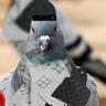 Fadepigeon