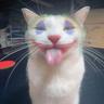 i <3 u clown!