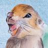 Mom of Gophers
