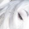 Kaze