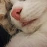 Maru-Chan✪