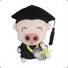 PigPig