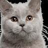 SERGAY MY LUV <3 Gamdom.com