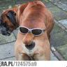 ZiKeeR#