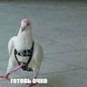 Пальчик В Попку???