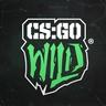 csgowild-bot38