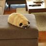 Cloudie-