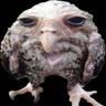 HyperPigeon