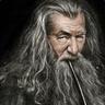 Gandalf The Grey
