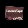 Sanctum Ninjas - Silver 1