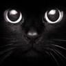 this is PyK0>|<0n