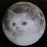dead MOONCAT
