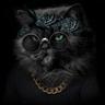 Mr.CaT 2.0