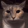 Minou