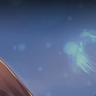 这波看我的