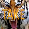 TAKE GAMING