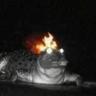 Flammegator