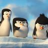 Pengu