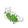weedcat