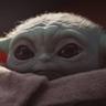 frogcho123