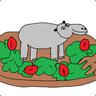 HippoSalad