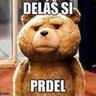 F.Rejlis