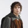 Frodo Baggins