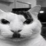 Adolf Kitler