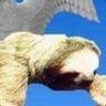 SoaringSloth