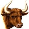 Bull.y
