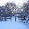 wintergate