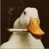 Goose
