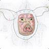 Pigs in Space Blankets