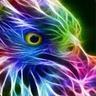 ✪Smorcka✪
