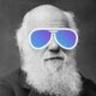 ябор вик