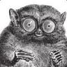 [pet]tarsier