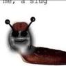 gazoig