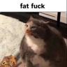 ThatOne fat fuck