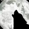 Lonewolfuno